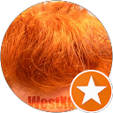 WestX64 profile picture